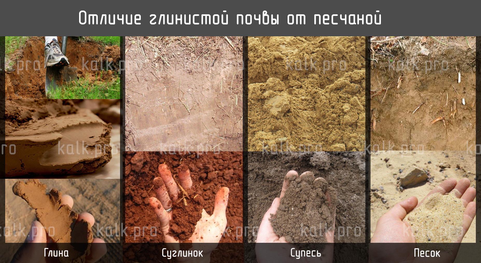 Разница между песком и глиной
