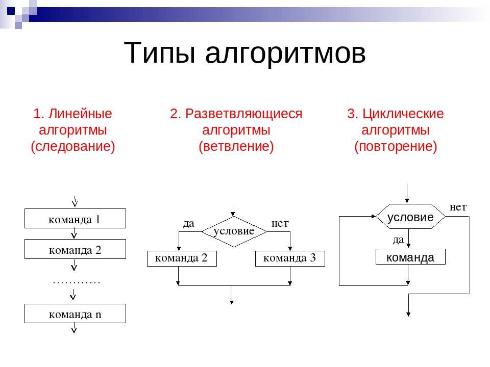 Разница между алгоритмом и программой: основные отличия