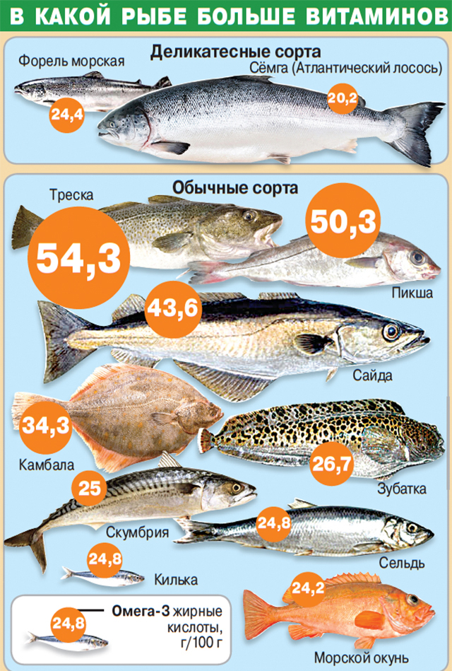Самая вкусная и полезная рыба для организма человека