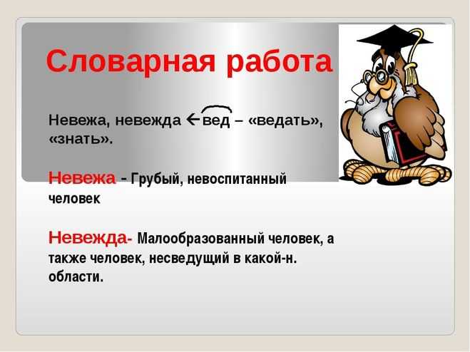 Невежа и невежда — в чем разница между ними