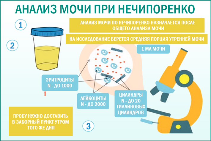 Анализы крови | медицинский центр «президент-мед»