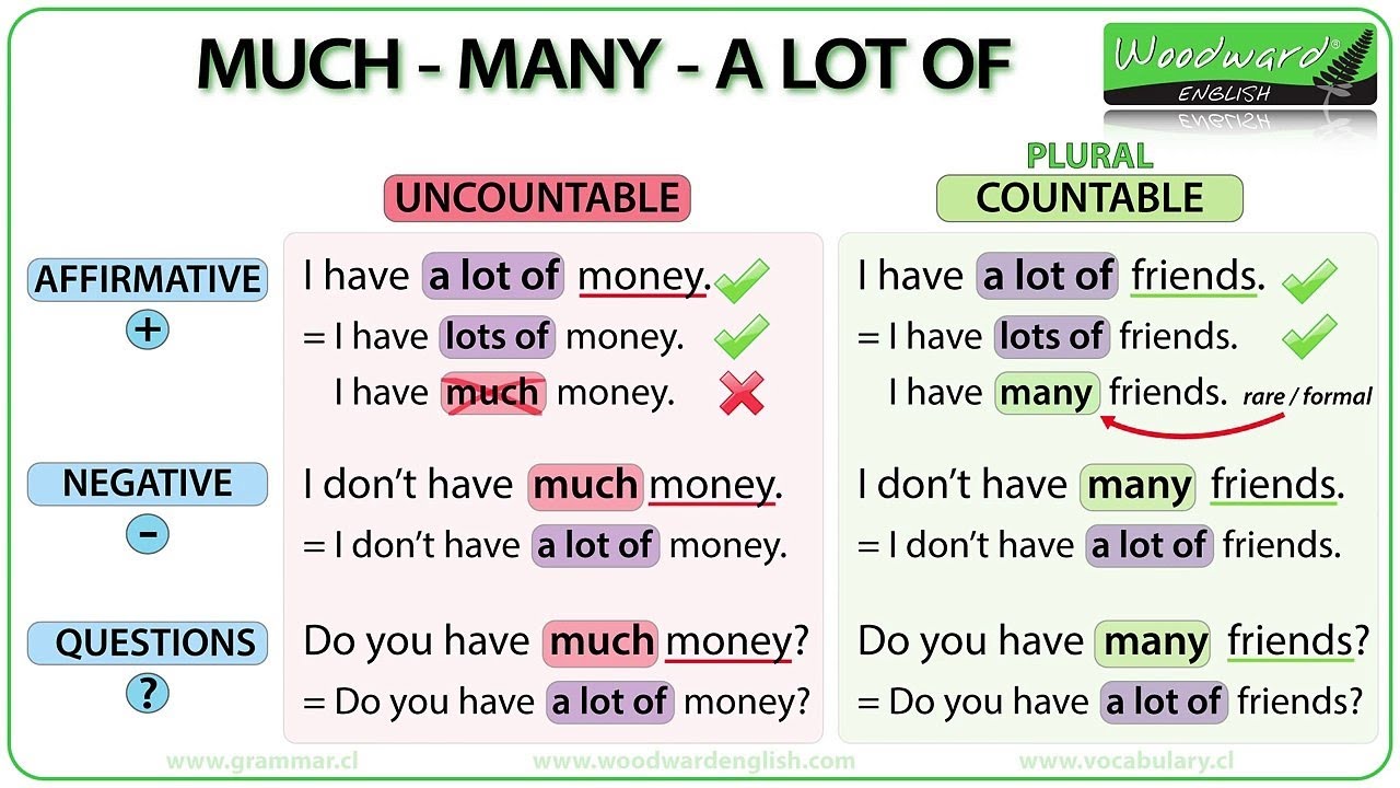 Правила употребления much и many: в чем разница?