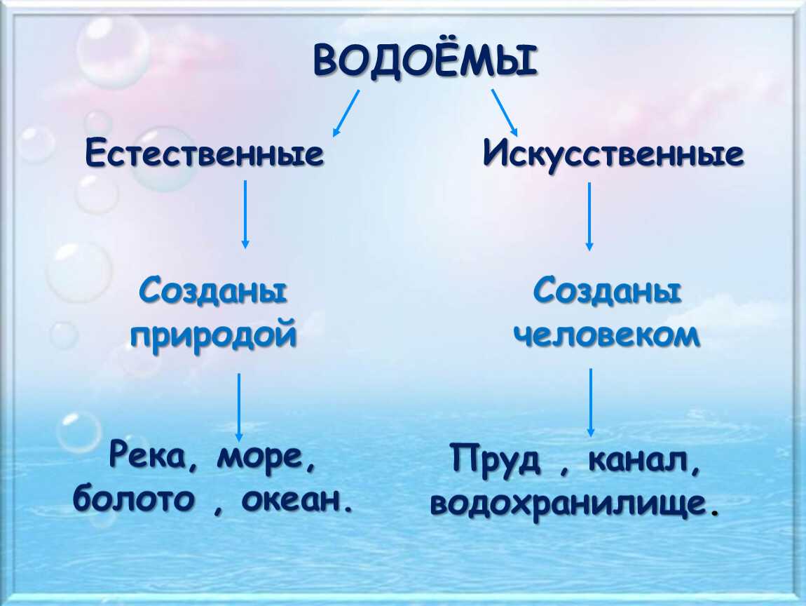 Чем пруд отличается от озера: особенности и отличия - domkolgotok.ru