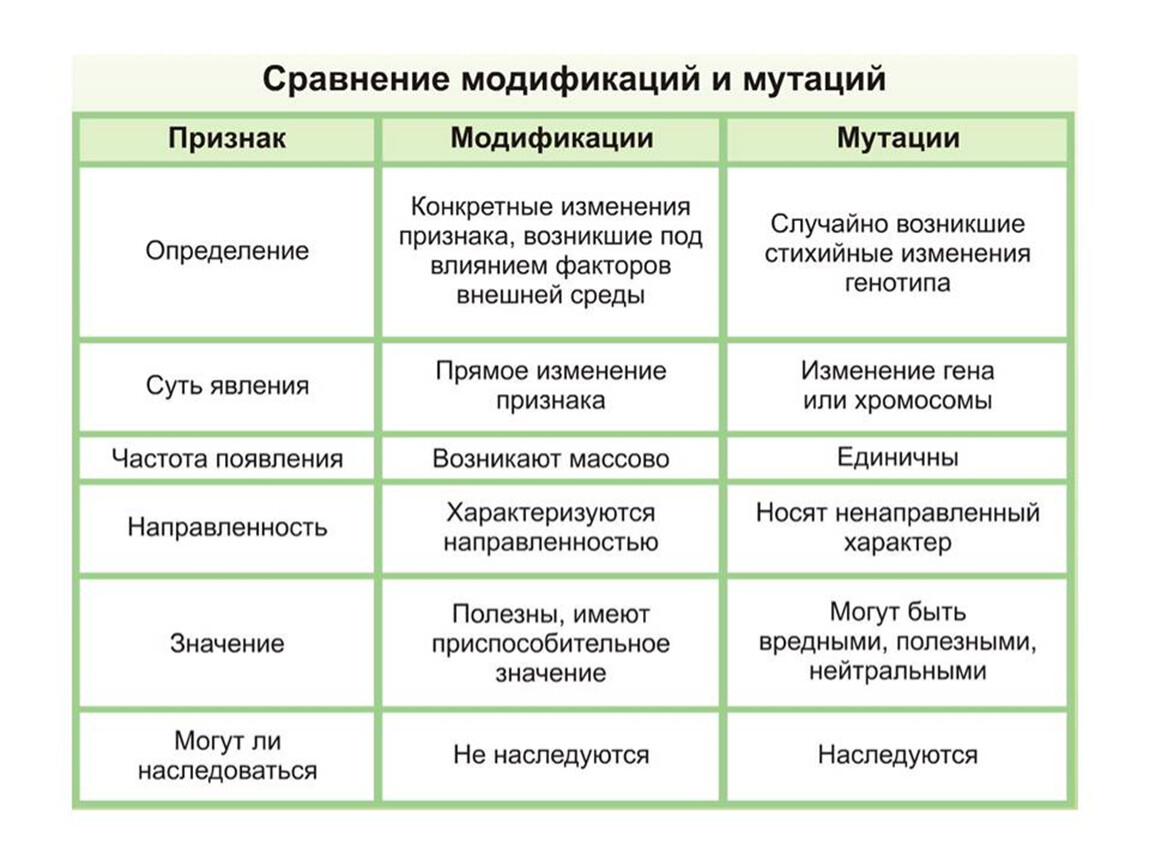 Мутационная изменчивость — в чем отличие от модификационной