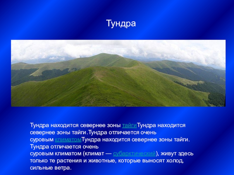 Разница между тайгой и тундрой