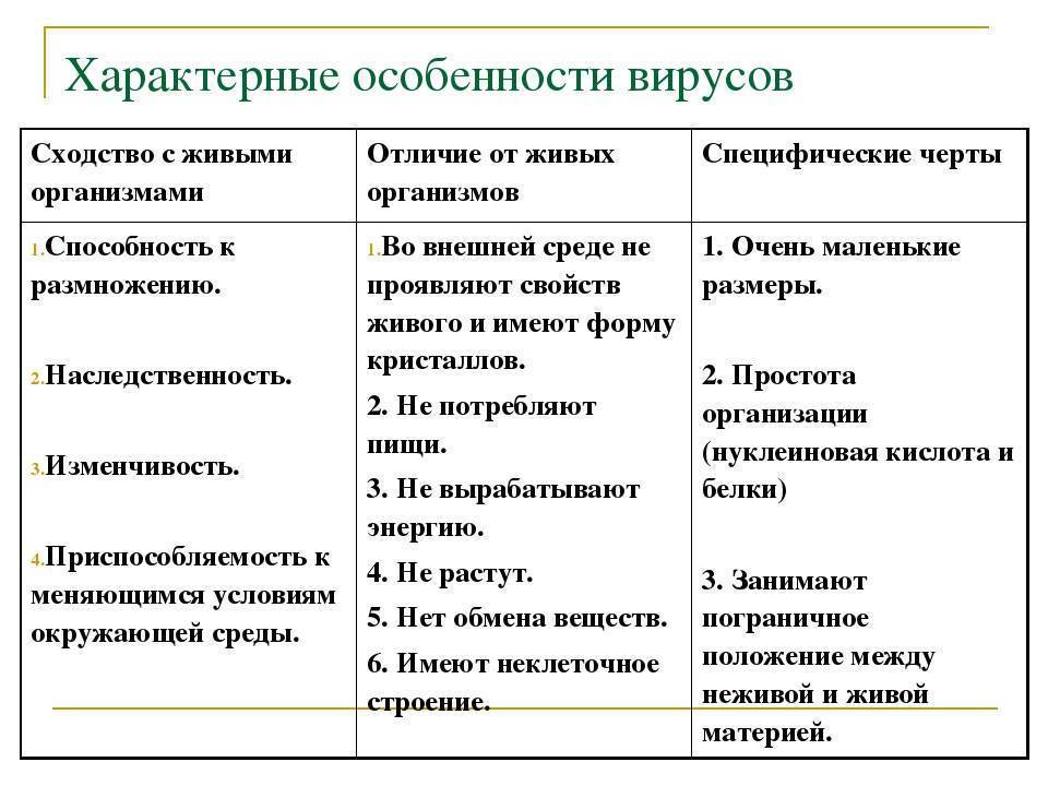 3 различия между микробами и бактериями | познание мира