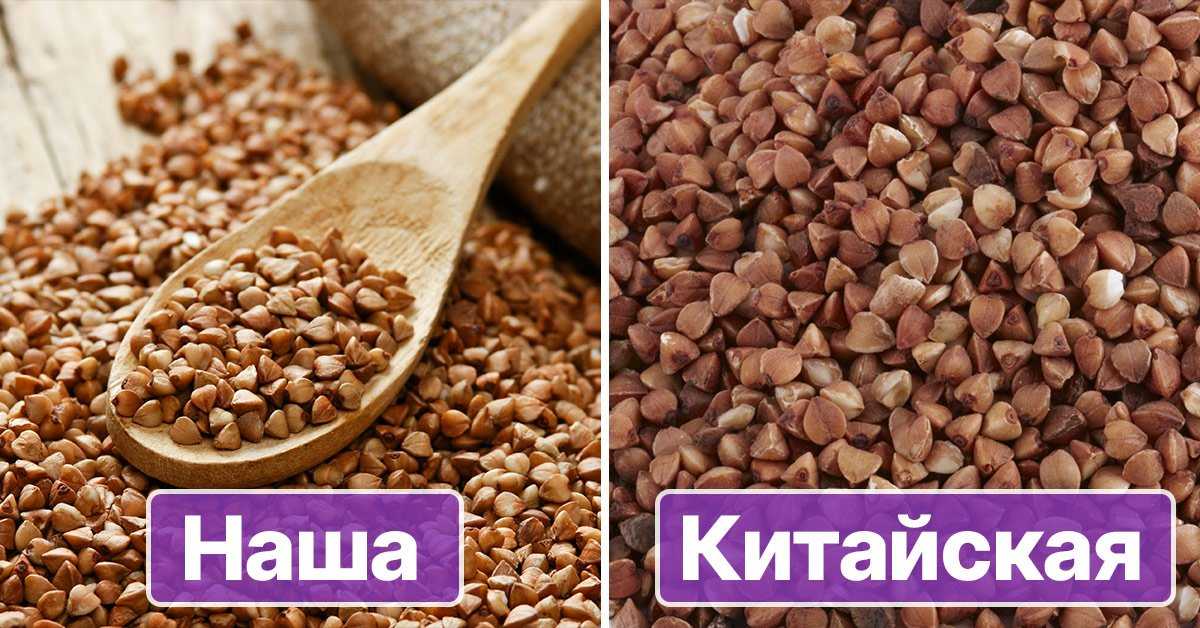 Какая гречка лучше ✔️ хранение гречневой крупы