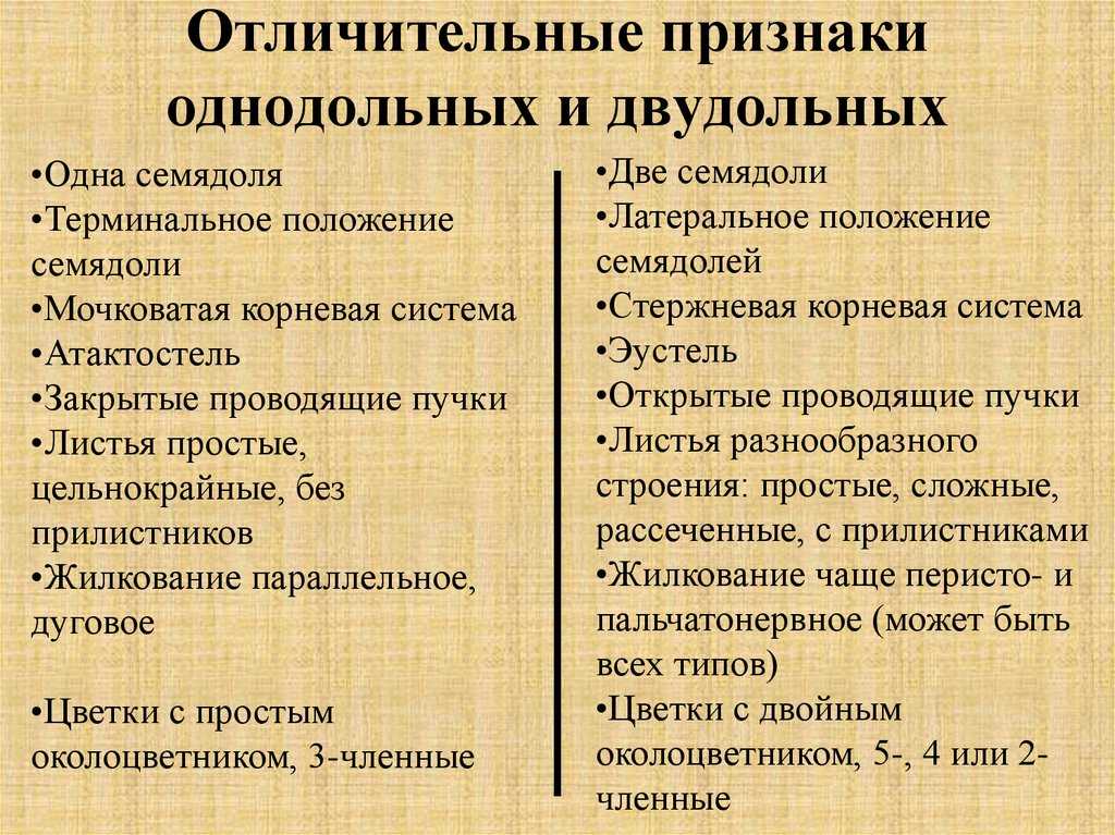 Сравнение классов однодольные и двудольные. Отличительные особенности однодольных и двудольных растений. Отличительные особенности однодольных. Характерные признаки классов двудольные и Однодольные растения. Различия однодольных и двудольных растений таблица.