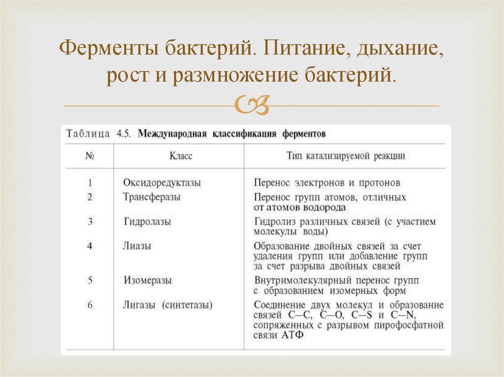 Консультация для воспитателей «чем отличаются бактерии, микробы и вирусы?». воспитателям детских садов, школьным учителям и педагогам - маам.ру