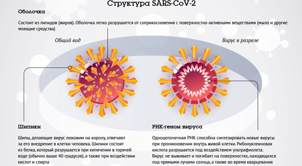 Какая вакцина от коронавируса лучше? все о достоинствах и недостатках зарегистрированных вакцин
