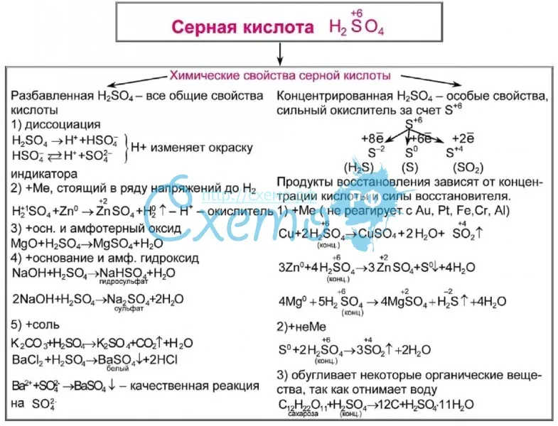 Серная ⭐️ кислота: с какими веществами реагирует, формула, уравнение химической реакции