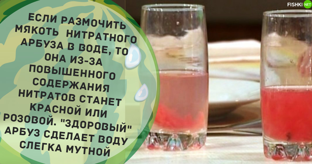 Как проверить арбуз в воде. Нитраты в арбузе. Нитратный Арбуз в воде. Определяем нитраты в арбузе.