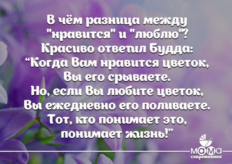 В чем разница между понятиями обожать и любить, их основные отличия