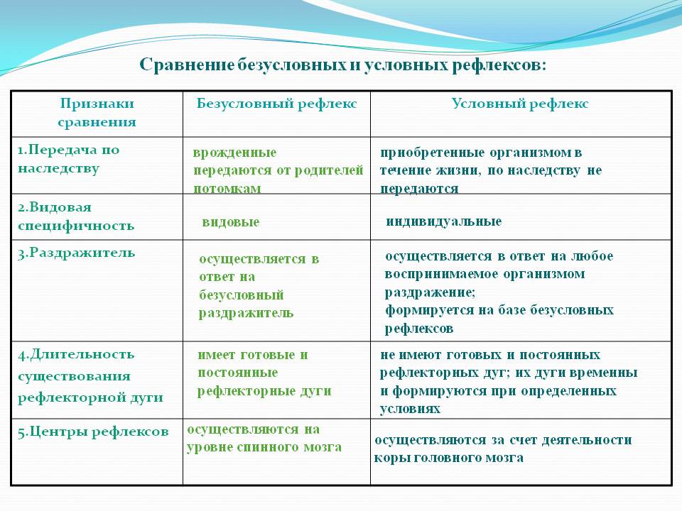 Сравнение условных и безусловных рефлексов
