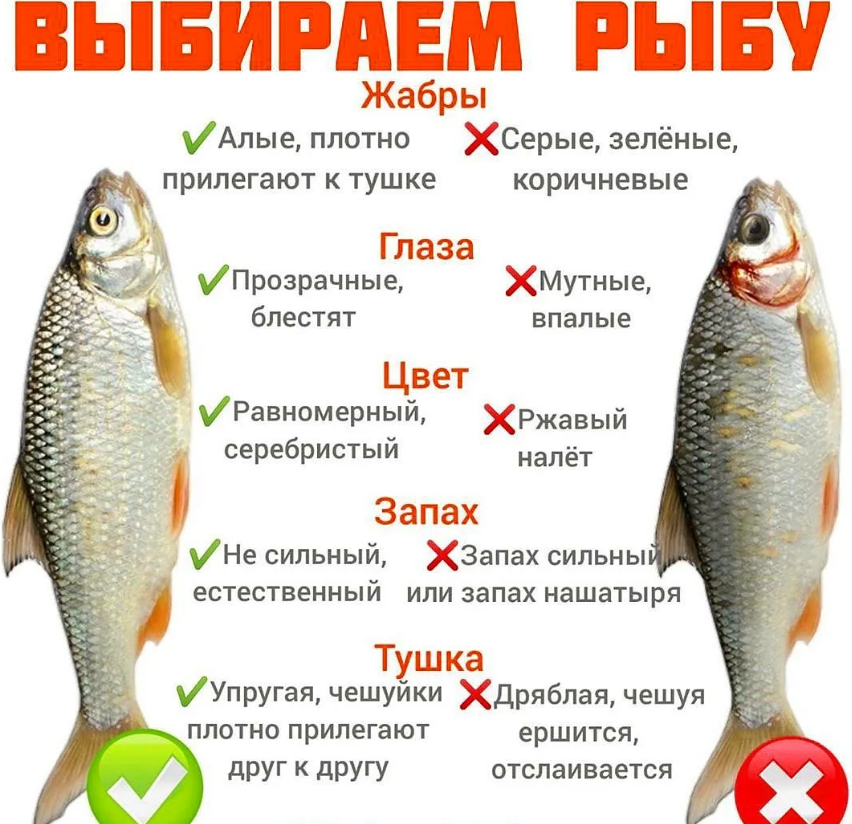 Как определить свежесть рыбы: на что обратить внимание?