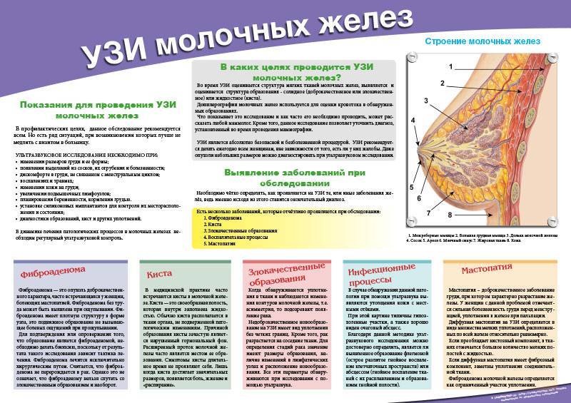 Узи молочных желёз: на какой день цикла делать, что показывает и чем отличается от маммографии