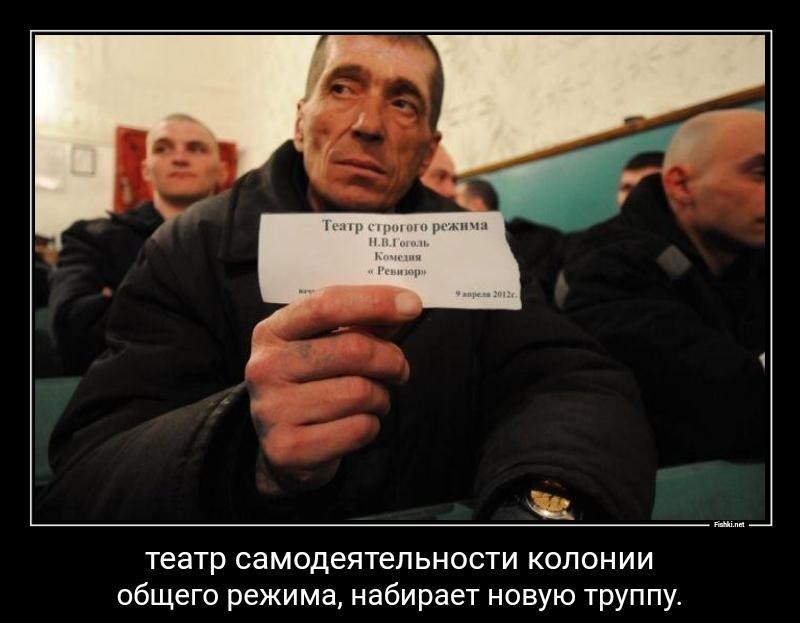 Чем следственный изолятор отличается от тюрьмы