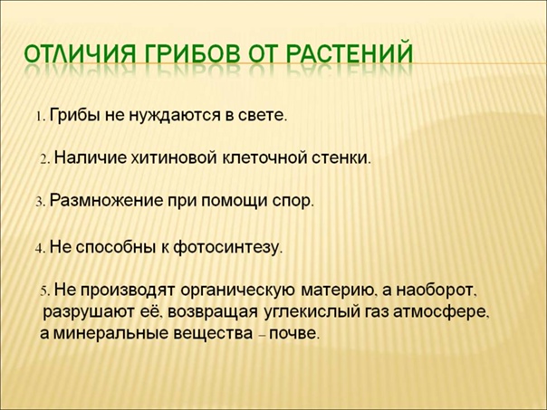 Классификация организмов. вирусы. бактерии. грибы. лишайники. | егэ по биологии, подготовка от экзамера