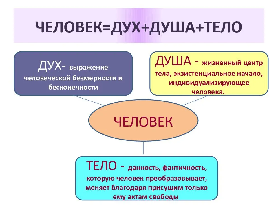 Дух и душа — в чем разница между ними в православии