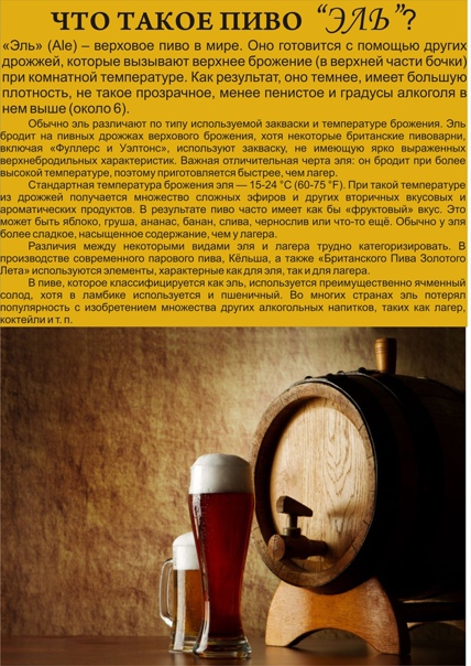 Разница между элем и пивом - разница слово - 2024
