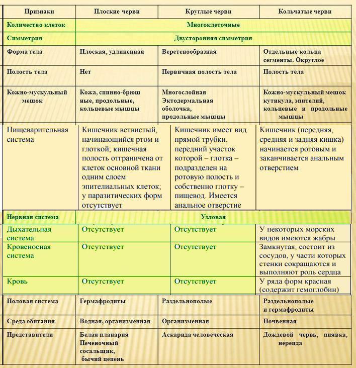 Разница между плоскими и круглыми червями - разница между - 2024