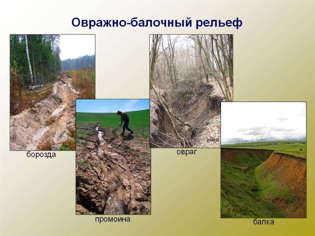 Балка: что это такое в природе и как отличается от оврага?