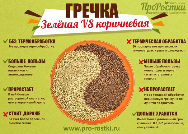 Чем зеленая гречка отличается от обычной и как готовить?
