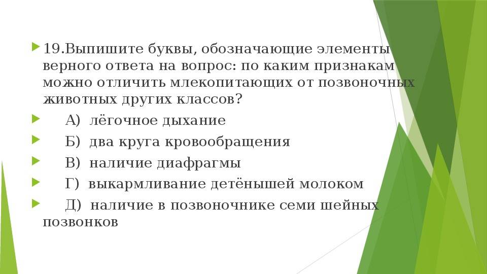 Кто такие млекопитающие?