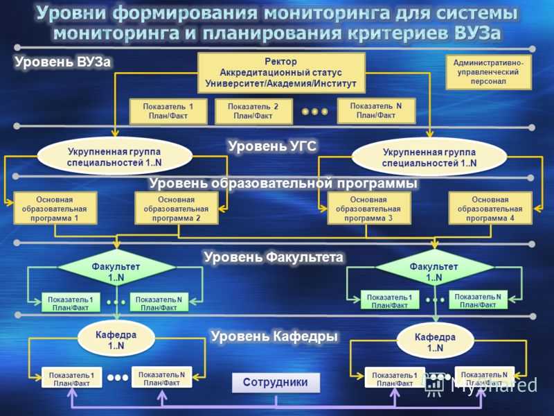 Чем отличается институт от университета и вуза