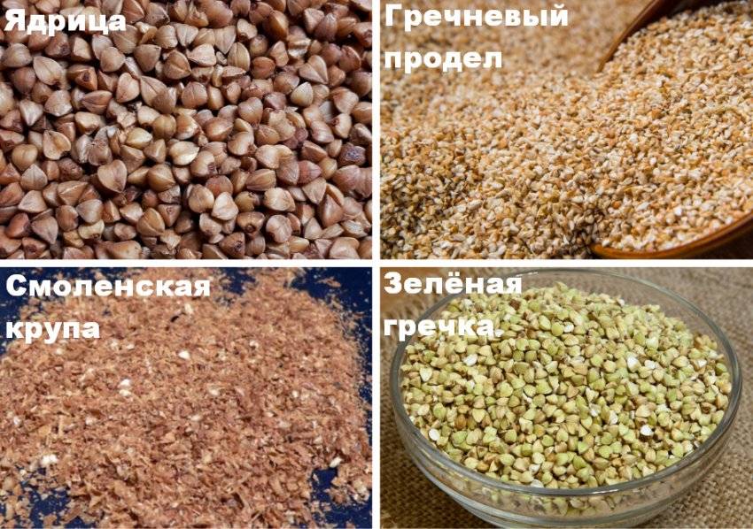Все о гречневой крупе: злак это или нет, чем полезна для организма и какую выбирать? - женский сайт womenitems.ru