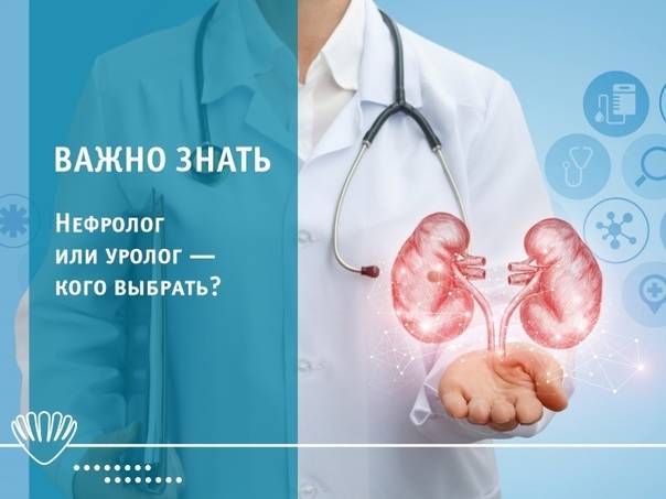Популярно о нефрологии: каковы распространённость, методы диагностики и лечения заболеваний почек.