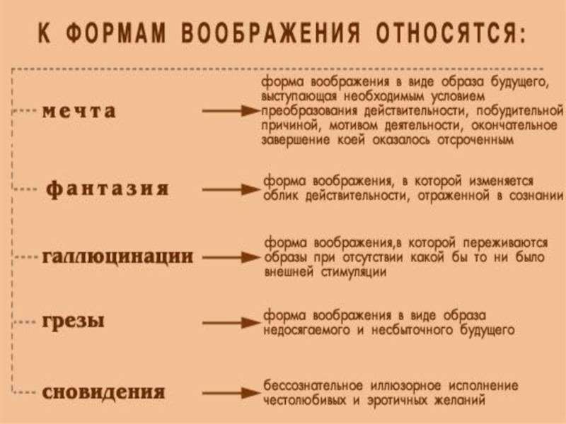 Сходства и отличия воображения и памяти
