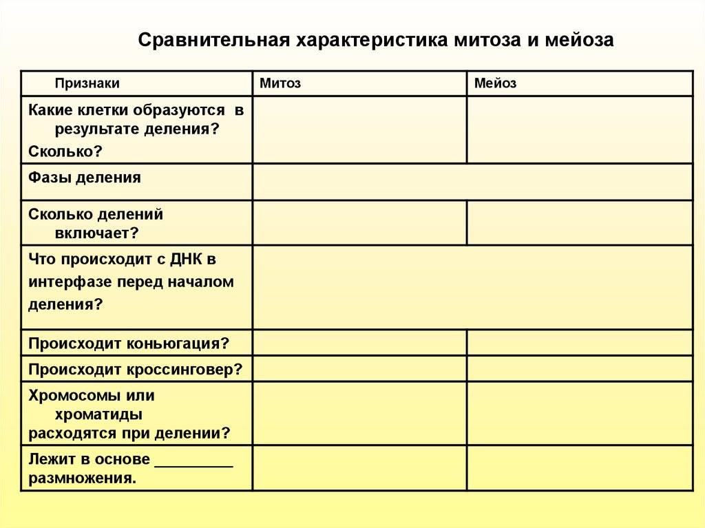 Урок 10: размножение - 100urokov.ru