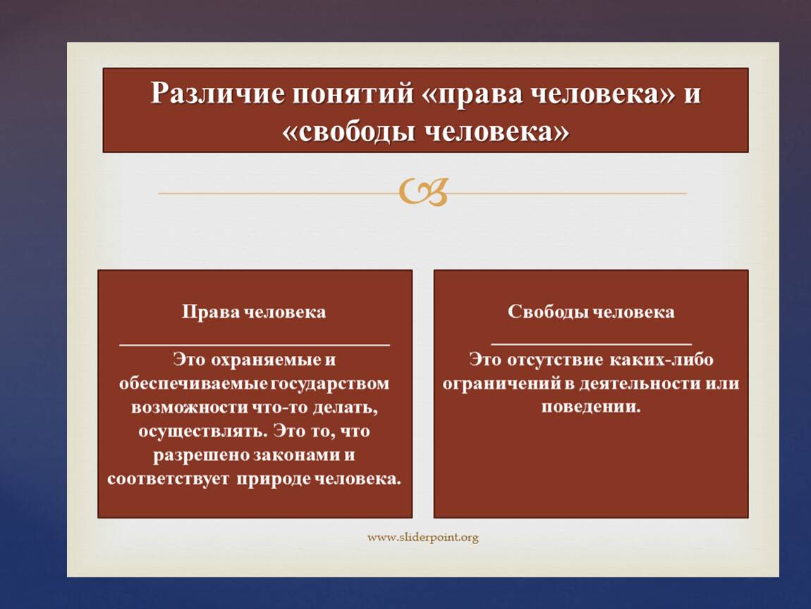 Урок 8: права человека - 100urokov.ru