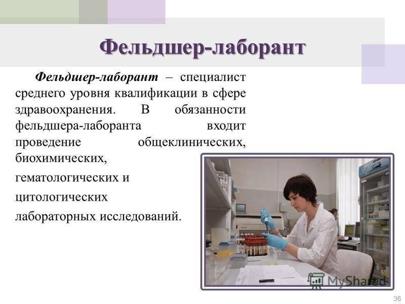 Разница между врачом и фельдшером. разница между фельдшером и медсестрой