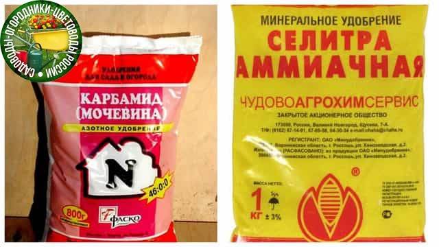 Влияние аммиачной селитры и мочевины на овощные культуры