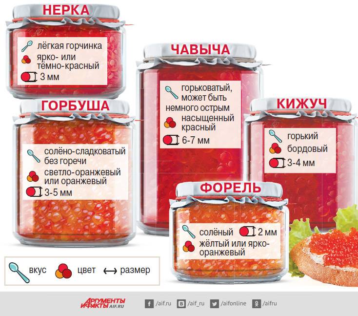 Как отличить настоящую красную икру от контрафакта
