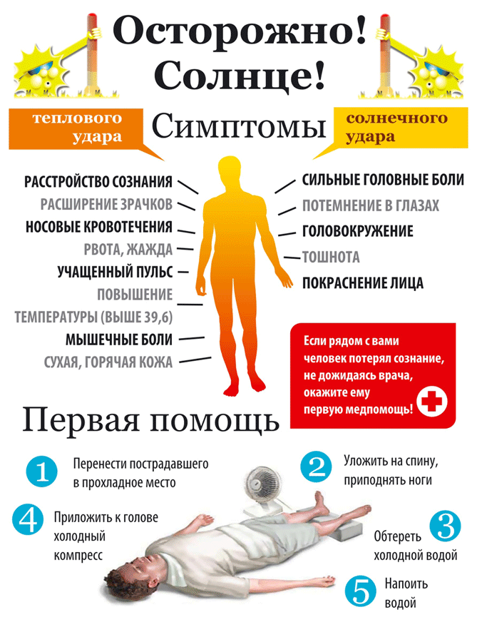 Тепловой и солнечный удары: скорая помощь и профилактика. реферат. медицина, физкультура, здравоохранение. 2015-06-19
