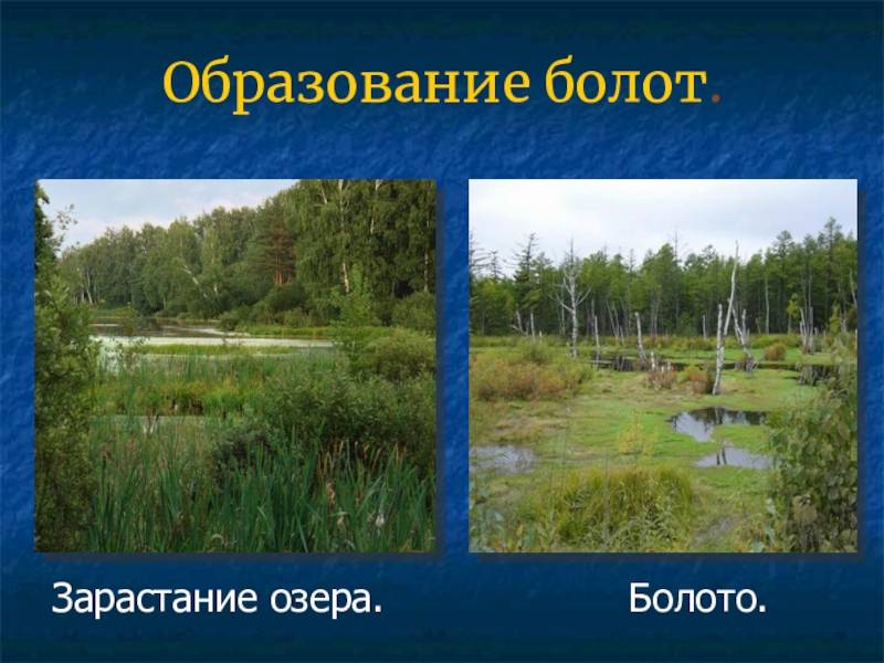 В чем разница между рекой и озером