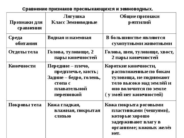 Рептилии и земноводные отличия. класс пресмыкающиеся или рептилии
