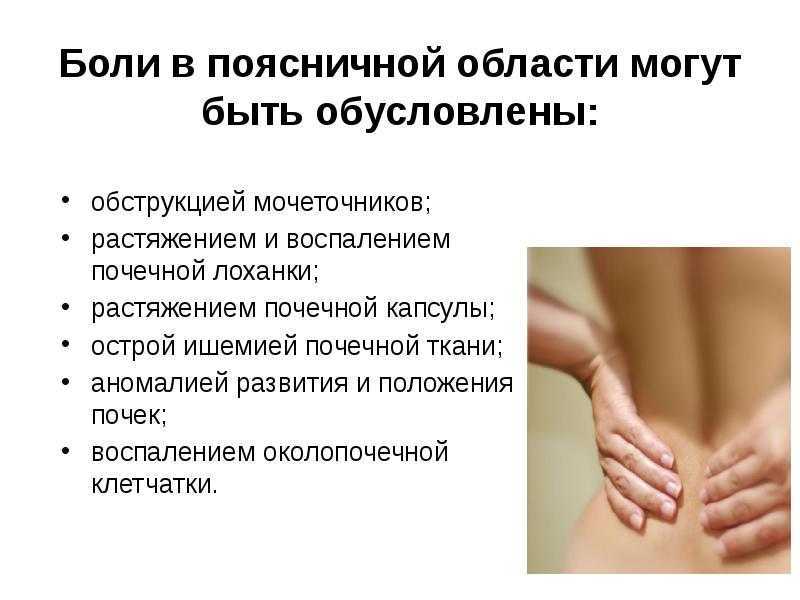 Как определить, что болит — почки или спина