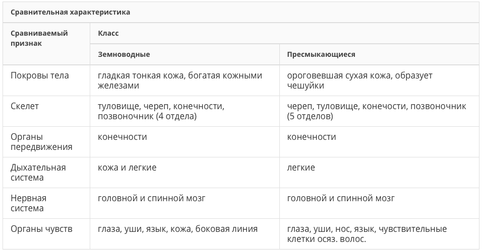 Составить сравнительную таблицу амфибии рептилии. Сравнительная характеристика классов земноводные. Признаки сравнения земноводных и пресмыкающихся. Сравнительная характеристика земноводных и пресмыкающихся. Сравнительная характеристика земноводных и пресмыкающихся таблица.