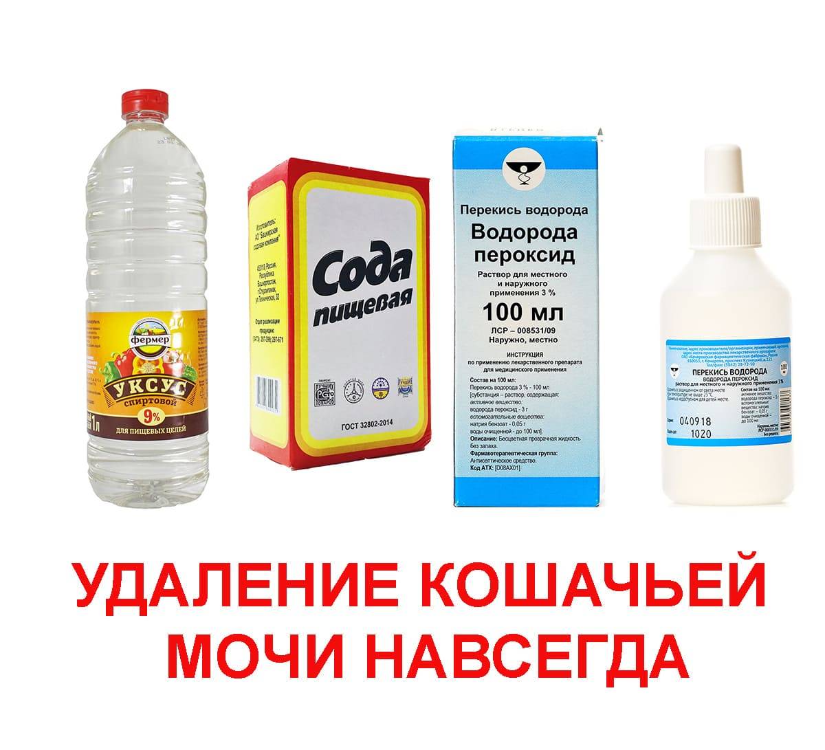 Чистка дивана от мочи взрослого человека в домашних условиях: избавляемся от запаха
чистка дивана от мочи взрослого человека в домашних условиях: избавляемся от запаха