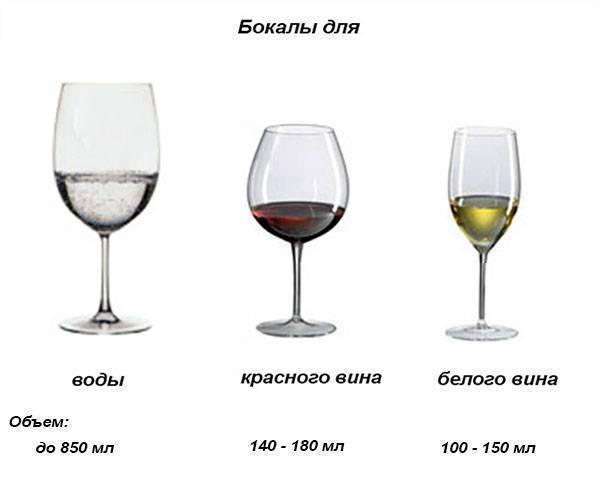 Бокалы для вина: отличия для красного и белого