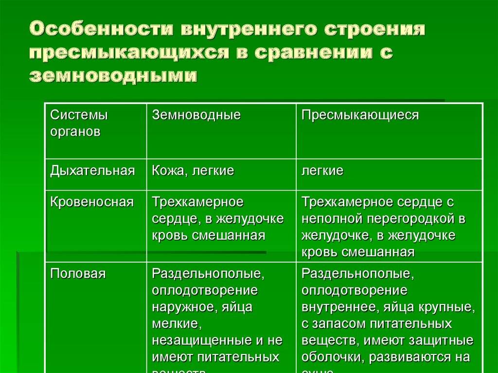 Таблица признаки амфибии рептилии. Таблица по биологии особенности внутреннего строения земноводных. Таблица система органов органы особенности строения пресмыкающихся. Системы органов пресмыкающихся 7 класс. Система органов земноводных и пресмыкающихся таблица 7 класс.