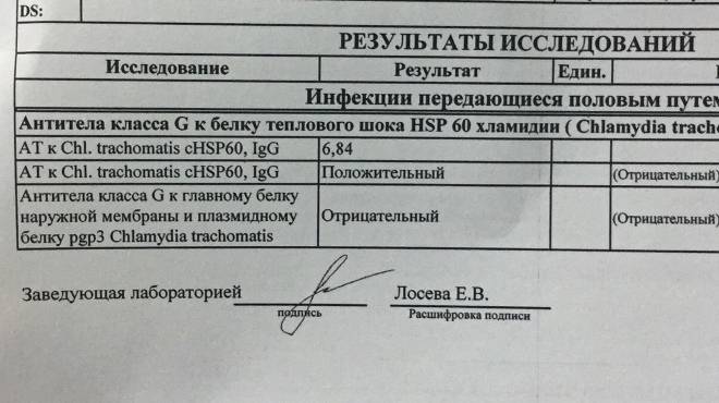 Положительный анализ на инфекцию: пцр или ифа