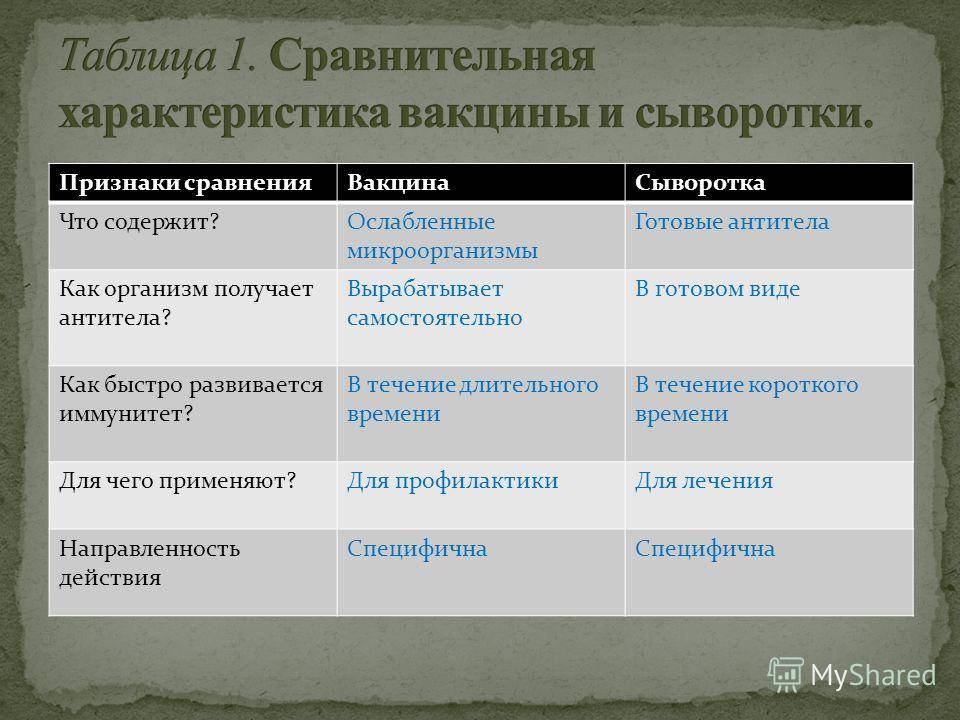 Лечебные сыворотки — свойства, отличия и характеристики