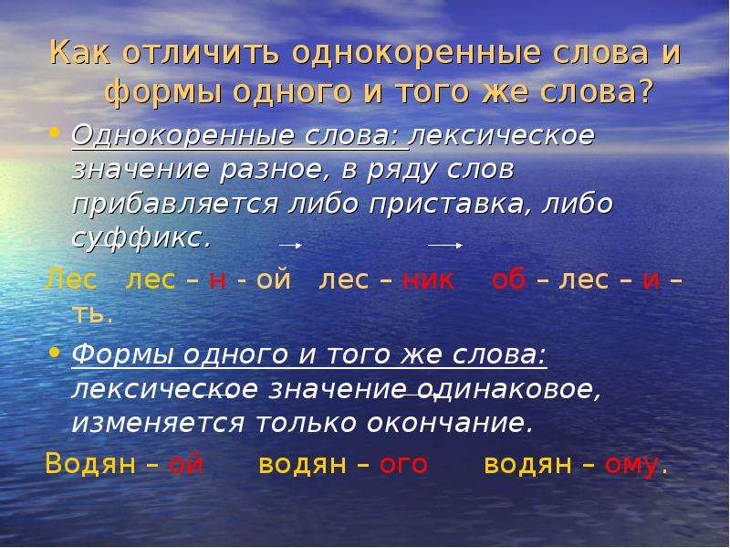 Однокоренные слова и формы одного слова: суть, примеры, отличия