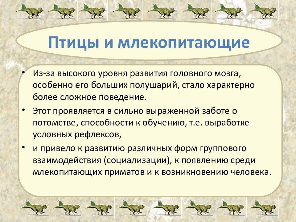 Класс ⭐️ птицы 7 класс биология: общая характеристика и особенности этого класса