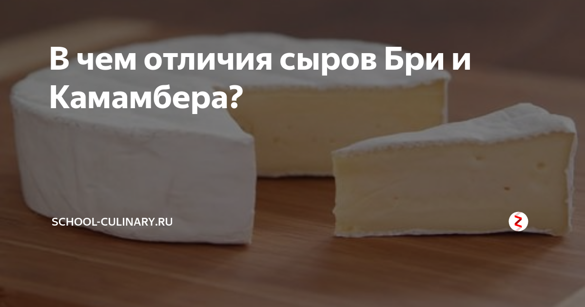 Сыр камамбер - как правильно есть. рецепты приготовления блюд с сыром камамбер с фото